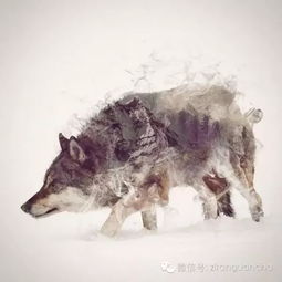  双重曝光的动物摄影,会是什么效果