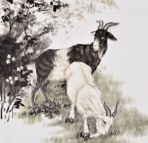  羊羊羊拆东墙,补西墙,特别是1967年的,即将迎来大变化