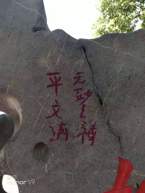  欠西湖一个道歉的平文涛被杭州阿姨逮住了当时他居然在......