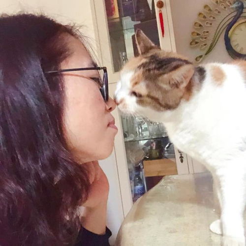  深圳女孩说张媛媛深圳的开放滋养了我们每一个人