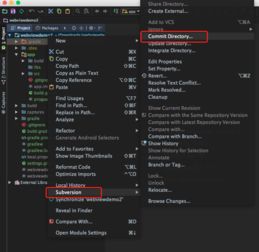  mac下androidstudio使用svn的正确姿势