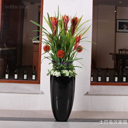  家居靠窗虎刺梅花图片
