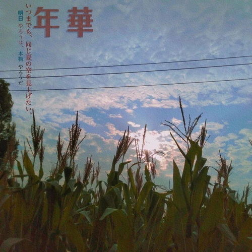  年末微信背景图每一张都很赞