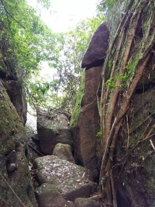 道家风景头像石表山