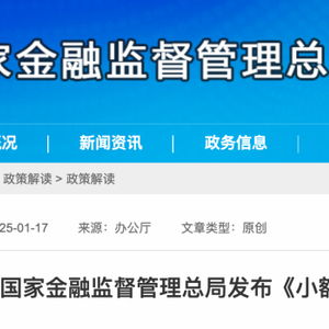  金融监管总局网络小额贷款公司对单户用于消费的贷款余额不得超过人民币二十万元