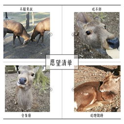  快乐的春节大阪五日游
