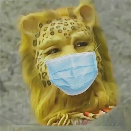  金钱豹商标已被注册