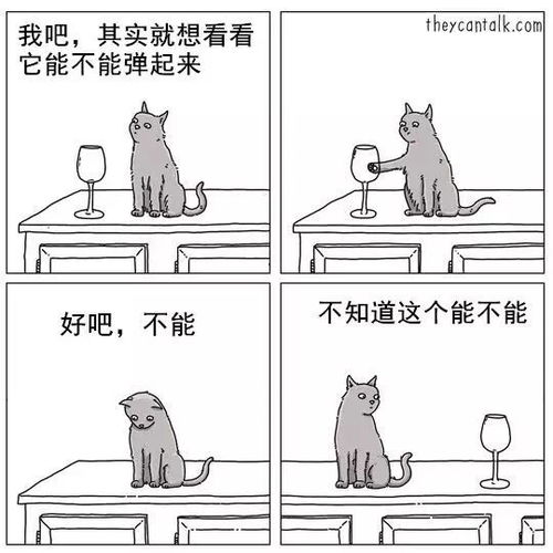  动物开口说起话来,真是太沙雕了哈哈哈