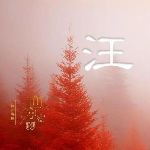  用微信头像说我爱你山中有雾,林中有鹿