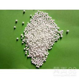  纯白色聚乙烯泡沫滤珠滤料价格泡沫颗粒图片-黄页88网