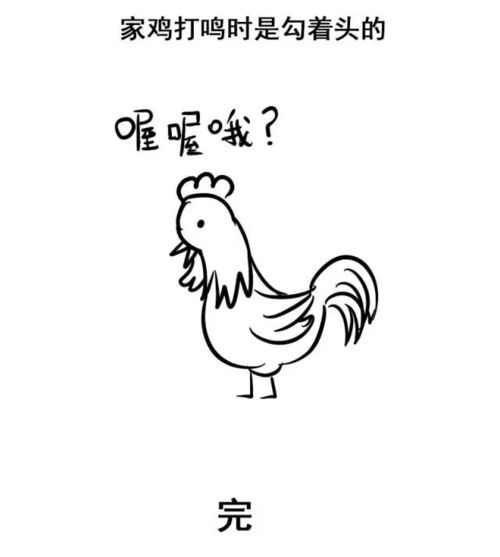  这些动物的冷知识,简直蠢萌得不可描述
