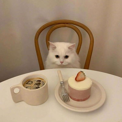  小猫猫可爱头像猫的眼睛里是一风景静物头像我要个性网