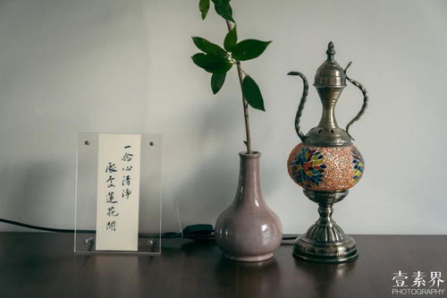  杭州最佛系素餐厅巷子再深也藏不住它的美味,每道菜品都暗藏禅机