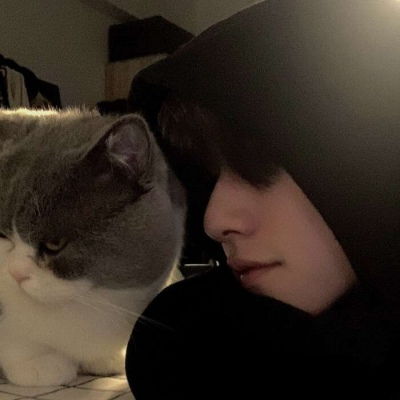 孤独黑暗的猫头像释出