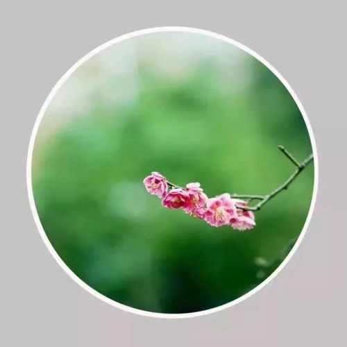  2019,一切看淡,一切随缘