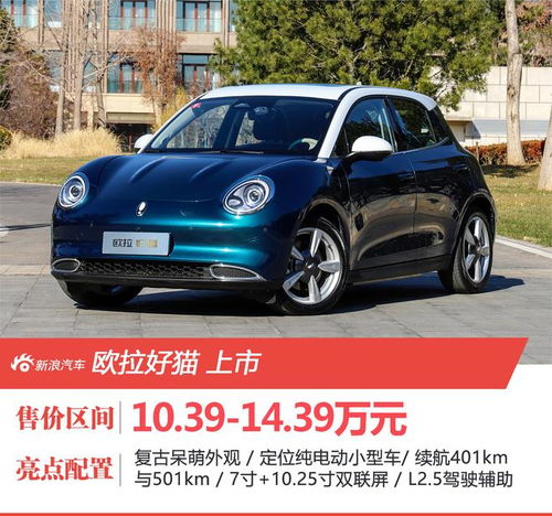 白猫图片头像欧拉