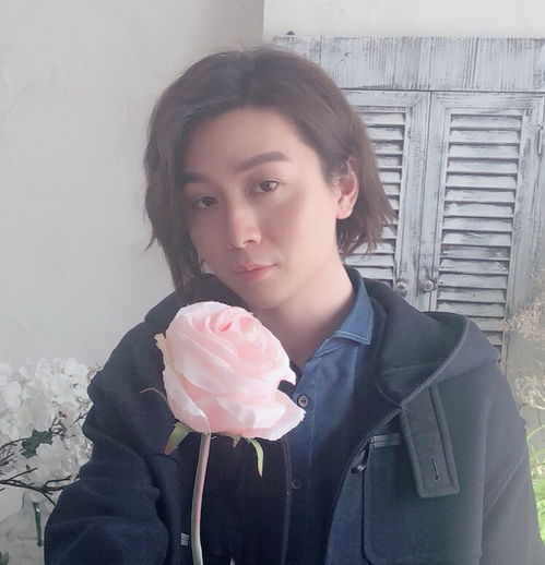  王者荣耀元歌操作最强的四大主播孤影猫神入选触手若月简直元歌上身