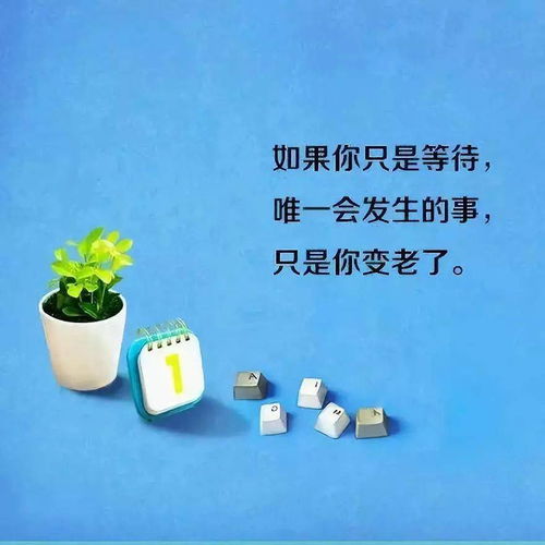  微信火爆短句子句句经典贴心,总有几句为你而写