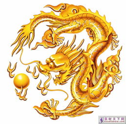  五爪金龙psd源文件