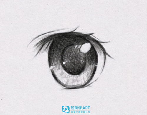  素描眼睛如何画超详细步骤分享