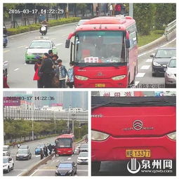  泉州市区高清探头抓拍首日17部违法车辆被曝光