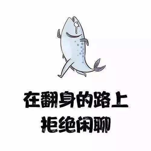 头像图片微信无字援疆干