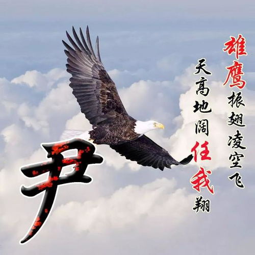 霸气的牛气冲天图片微信