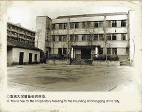 重庆大学校庆头像川大