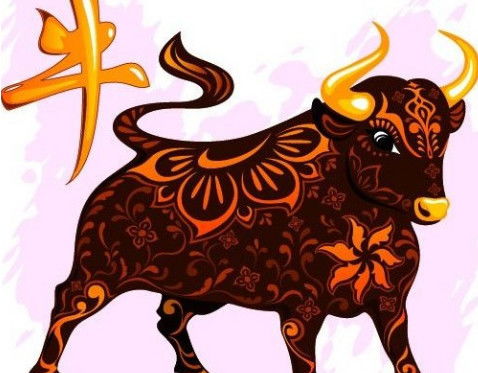  不嫌弃老公穷的3大生肖女,旺夫赚钱不在话下,你是幸运儿吗