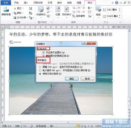  如何压缩word2010图片容量