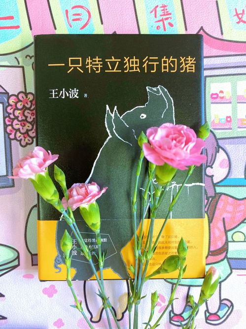  书香顺义我和书的花间美照展示来啦