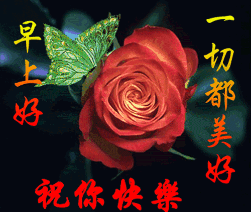  2020年漂亮的鲜花早上好动态图片早上好的句子