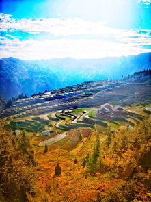  老牛耕田数十年不知山外己变迁田园风景入画框点赞加榜好梯田