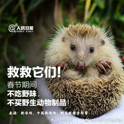  微倡议这个春节,不吃野味,拒绝野生动物制品