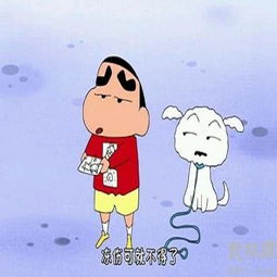  第1821话骑脚踏车通勤哦标清