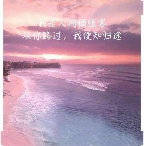  微信最精辟的句子,说到心坎