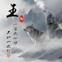  一组励志血性狼姓氏头像微信头像,送给在困境中坚持梦想的你