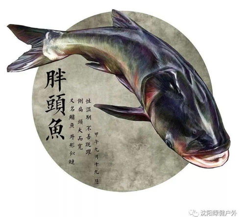  查干湖的夏