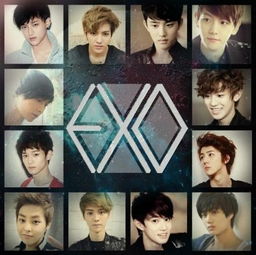  韩团exo魅力值揭密鹿晗花美男天然萌灿烈阳光暖男