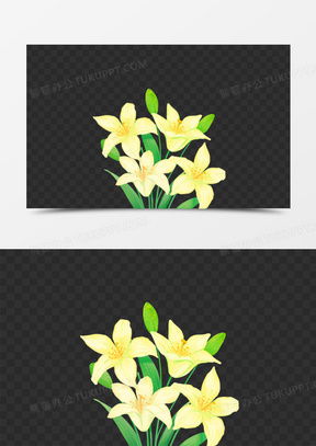  百合花图像微信头像大全