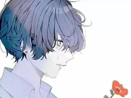  11月5号纯爱推文