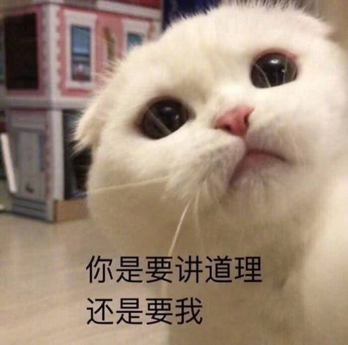 男生沙雕动物头像