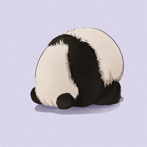  我的收藏