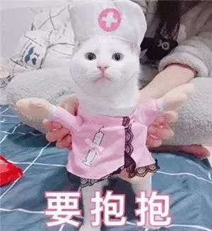  每日吸丨小兔几白了又了白