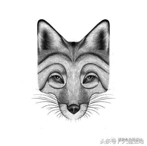 动物头像大全简笔画证件