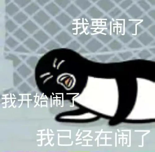  表情包我要开始闹了
