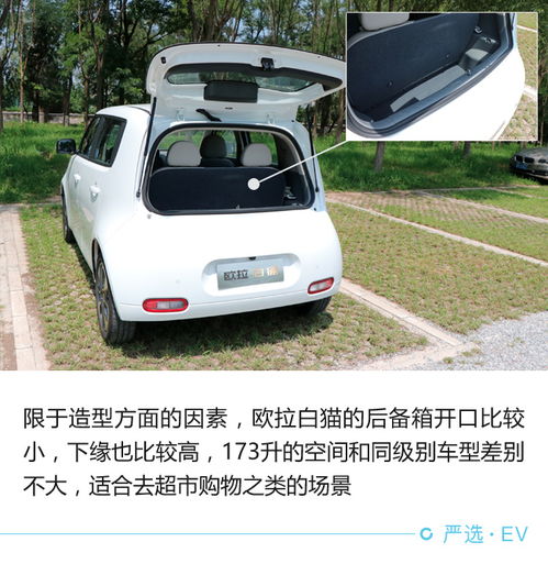  试驾长城欧拉白猫