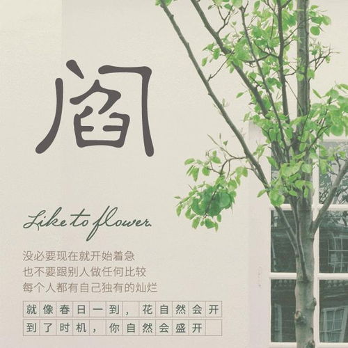 万姓氏头像高清换换