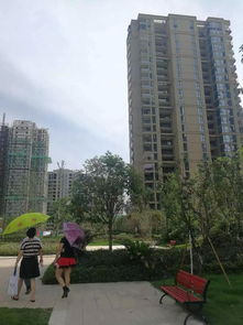  一个人竟能摇到5个号一段微信群的对话,揭开这个楼市黑洞