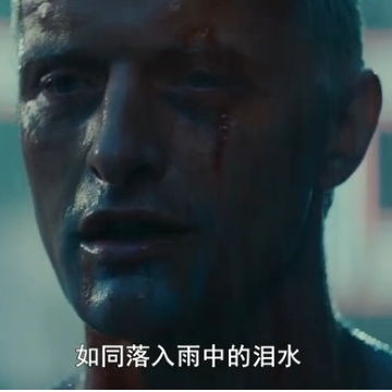  全站照片标签银翼杀手